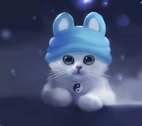 The cute Cat