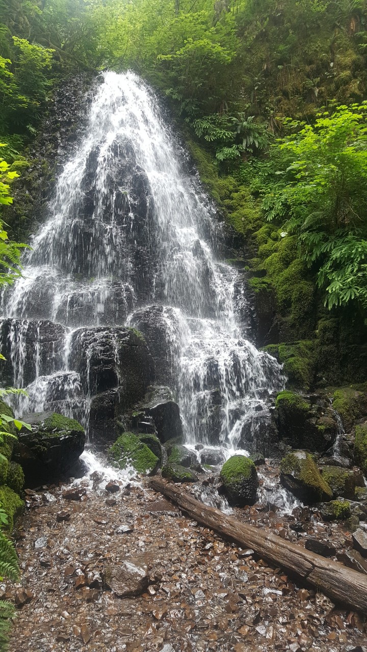 Fairy falls in Oregon