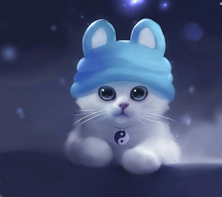 The cute Cat