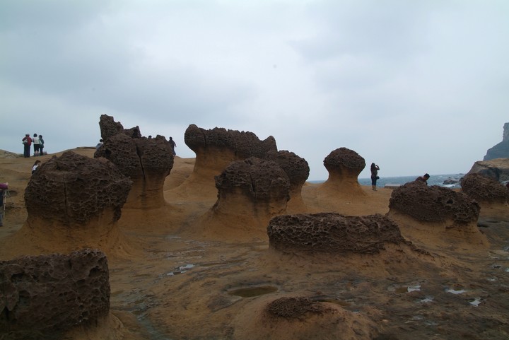 Scenics