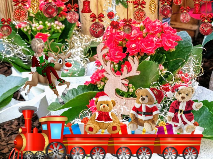 merry Christmas, frohe Weihnachten