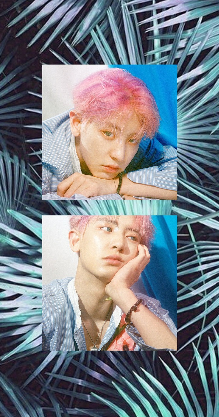 kokobop