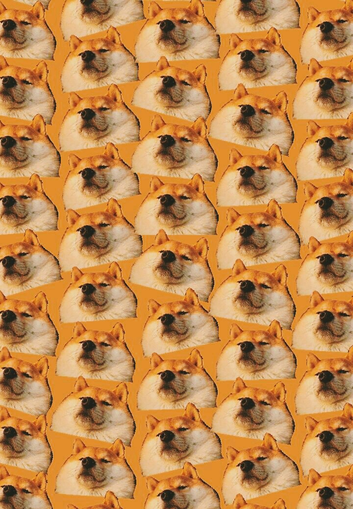 Dogismylove