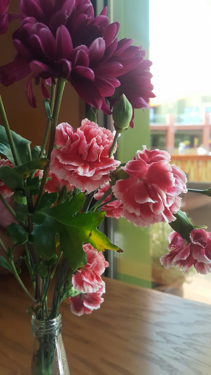 Café Vibes