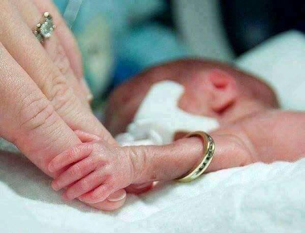 This is ALLAH 's creation