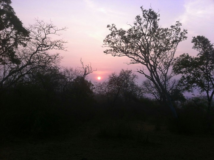 Dawn