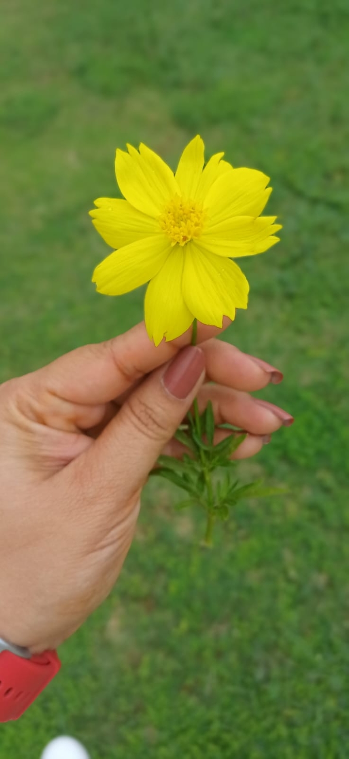 .