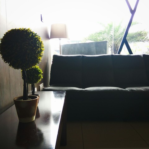 interior plant