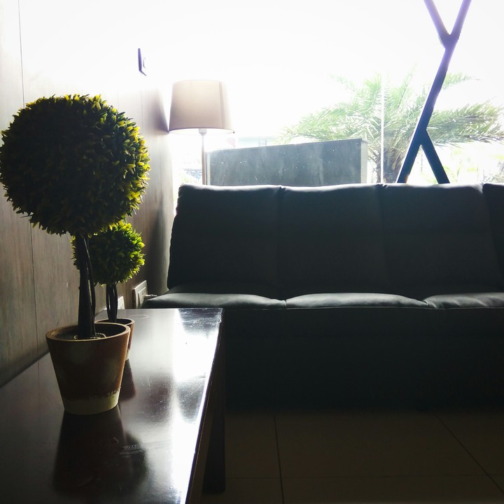 interior plant