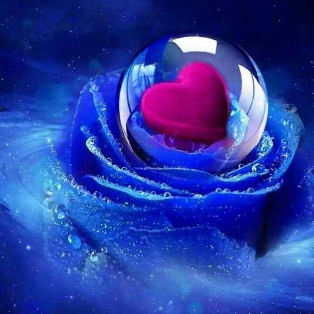 heart in rose