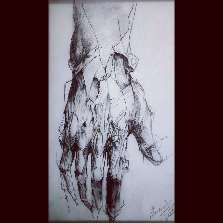 Anatomy Art