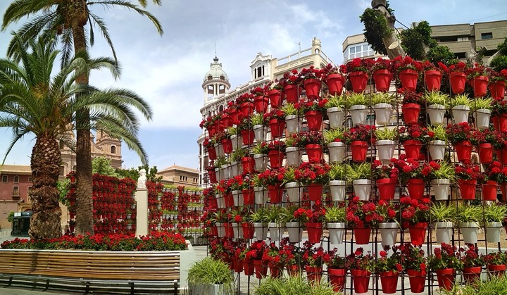 Primavera