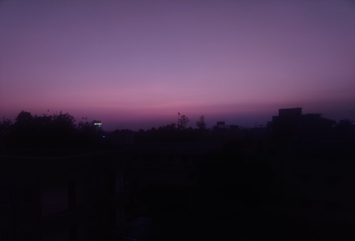 Nature Love