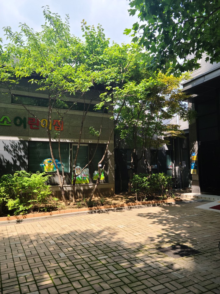 A sunny summer of kindergarten