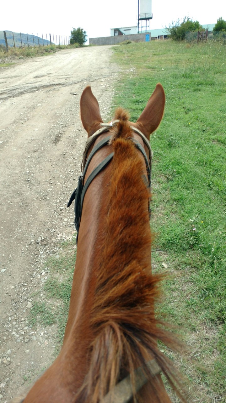 Andando un poco
