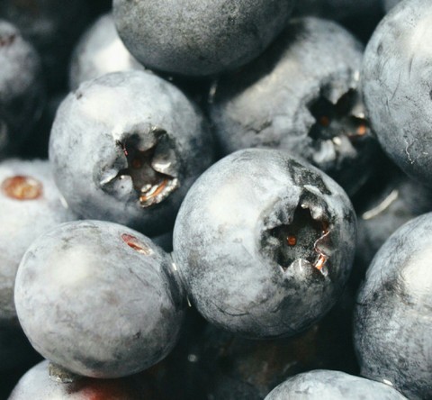 blueberry