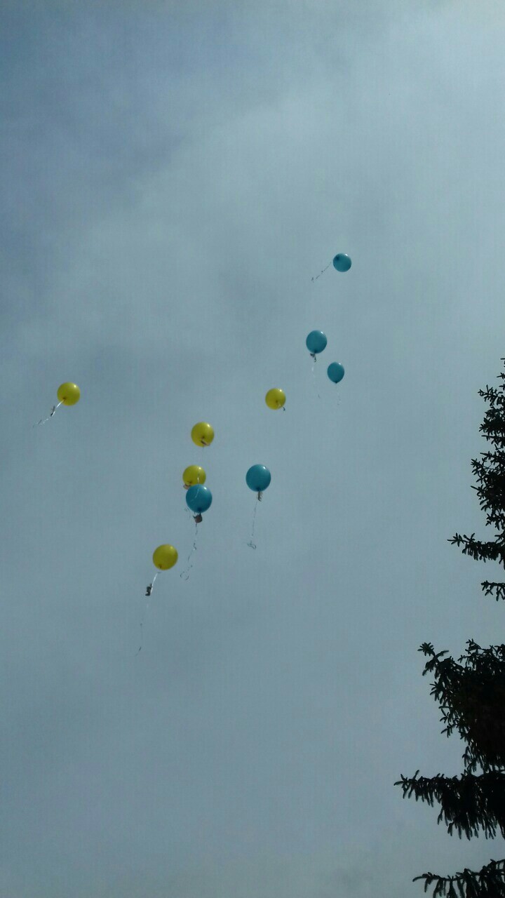 #кульки #повітрянікульки #гелій #останній дзвінок