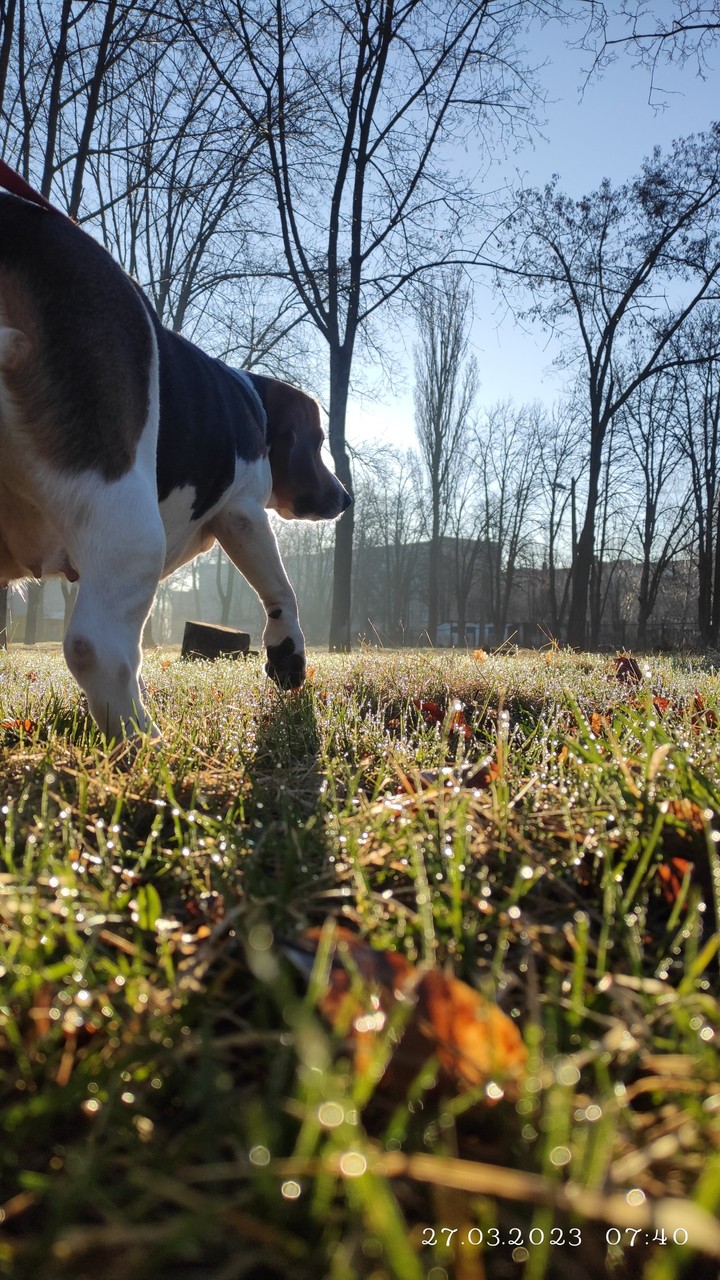.