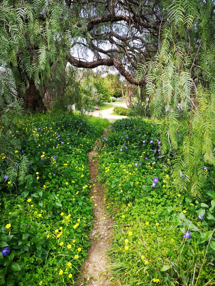Green trail