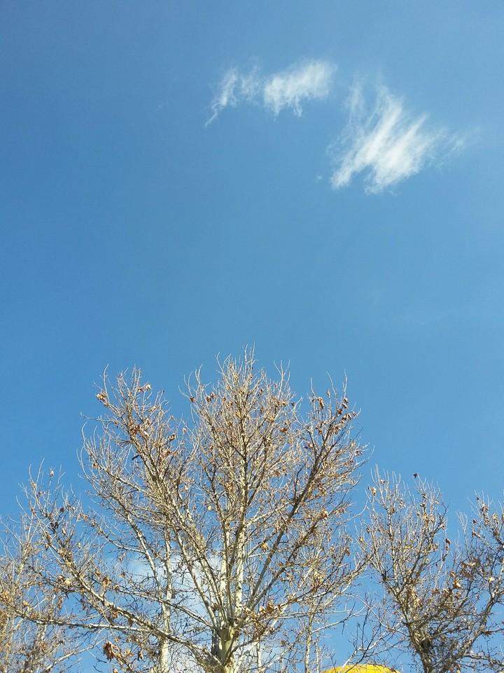 sky