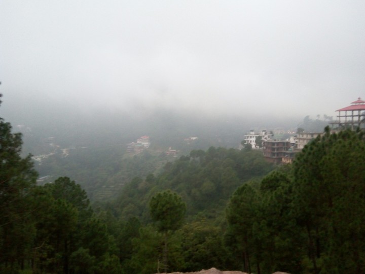 shimla is cool