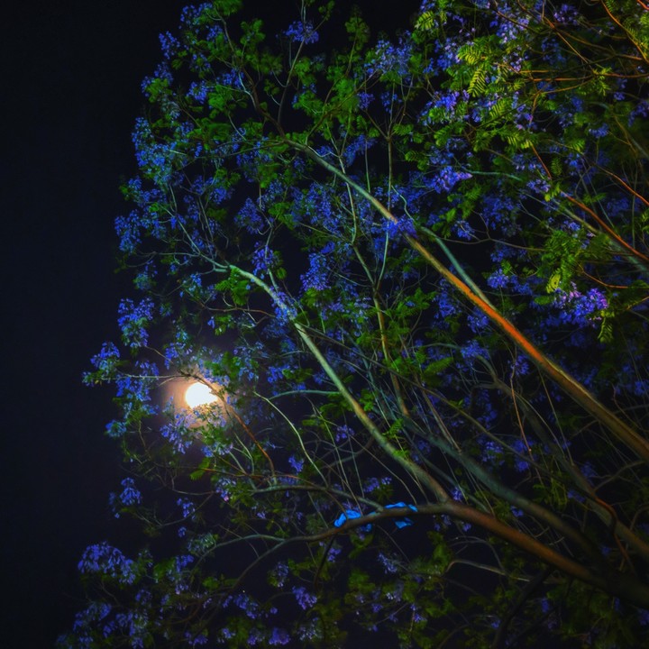 #moon
