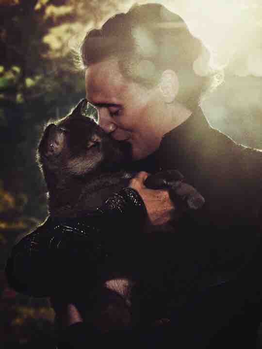 love you loki ❤️