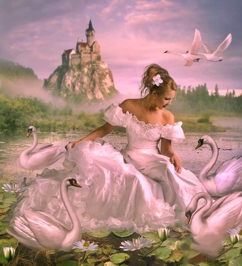 Swan