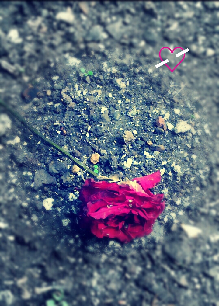 Broken Heart