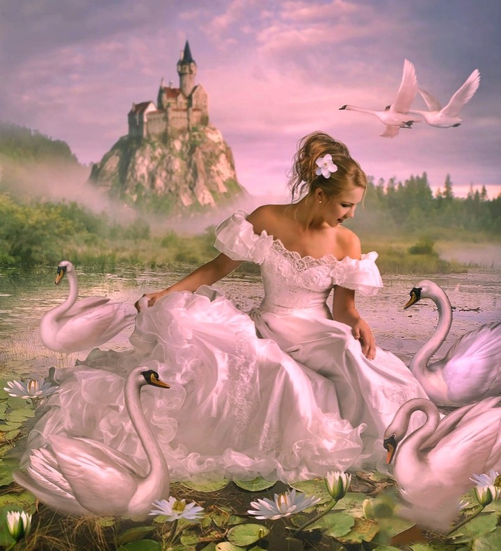 Swan