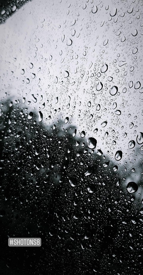 beauty of rain