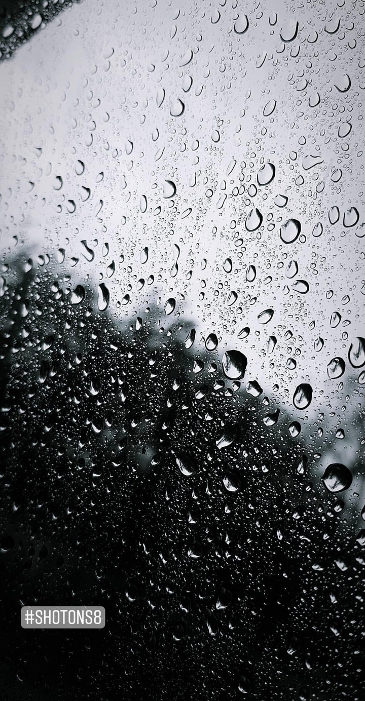 beauty of rain