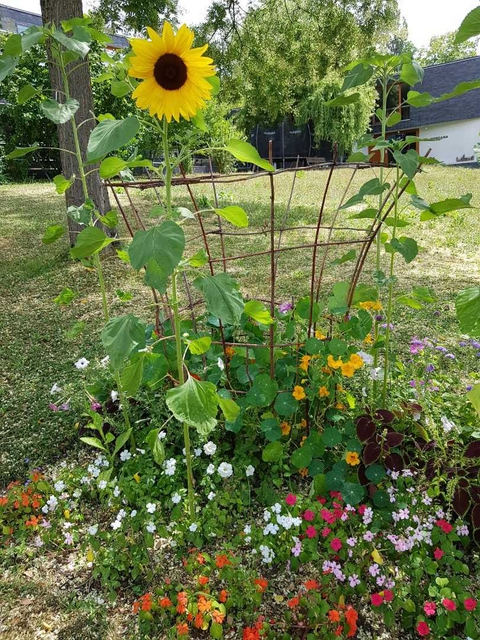 my garden pick hehe