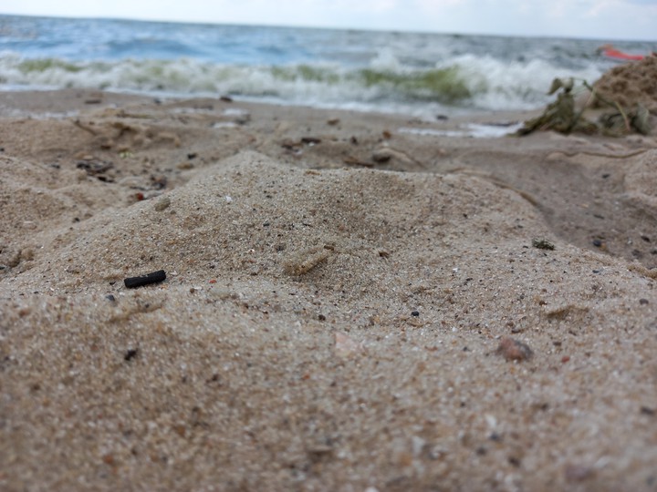 sea