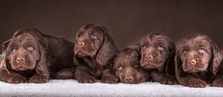 so cute