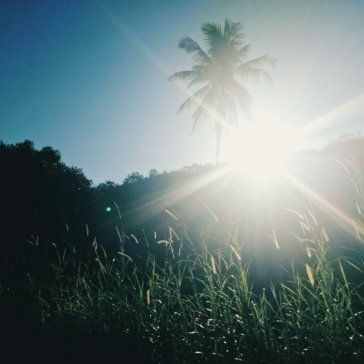 A Natureza Representa o Amor De Deus Para Com Todos Nós 
