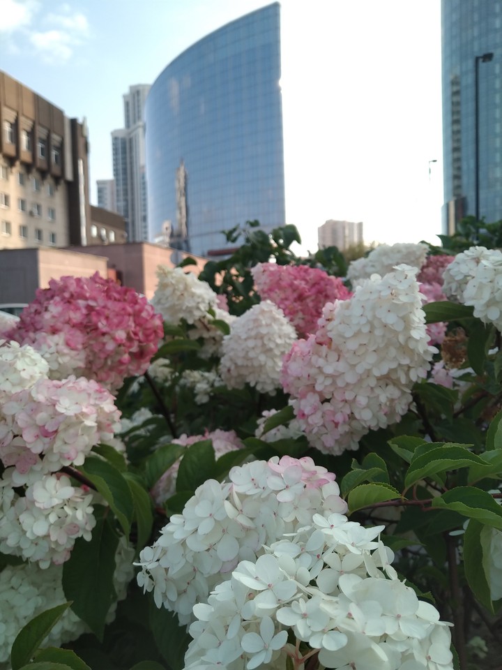 Yekaterinburg