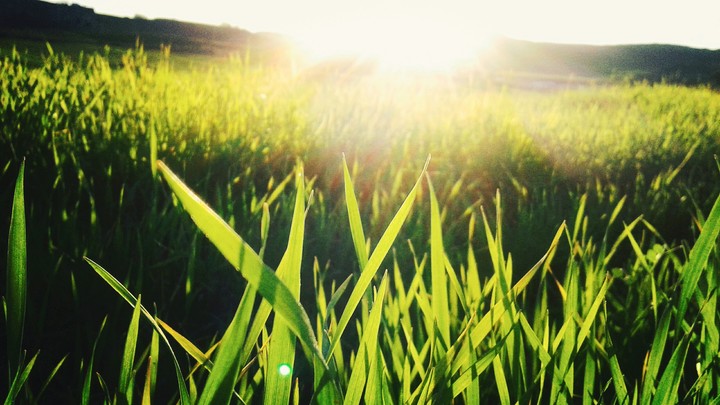 green and sun
