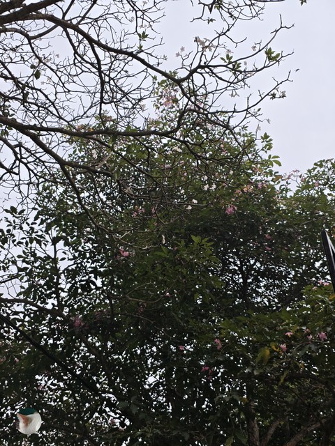 Love_Nature