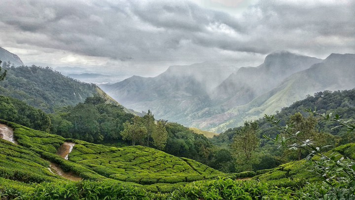 Munnar