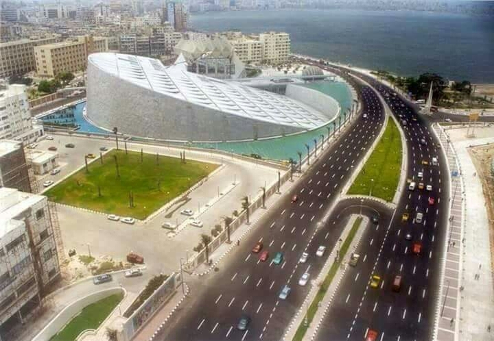 alex library