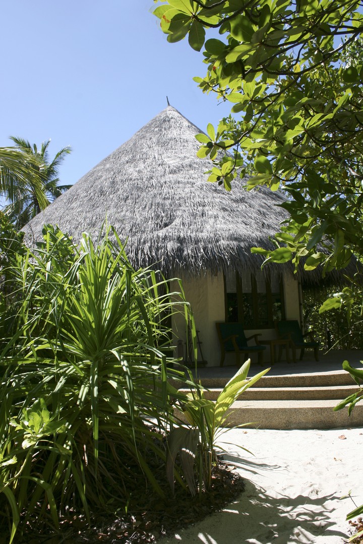 Africa