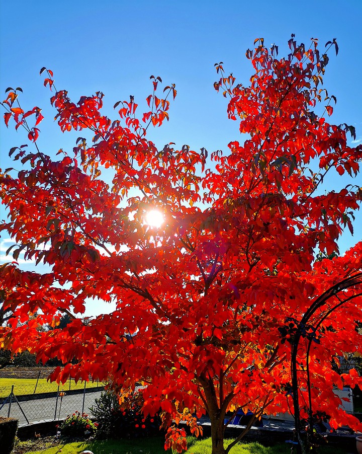 Der Herbst ruft ??