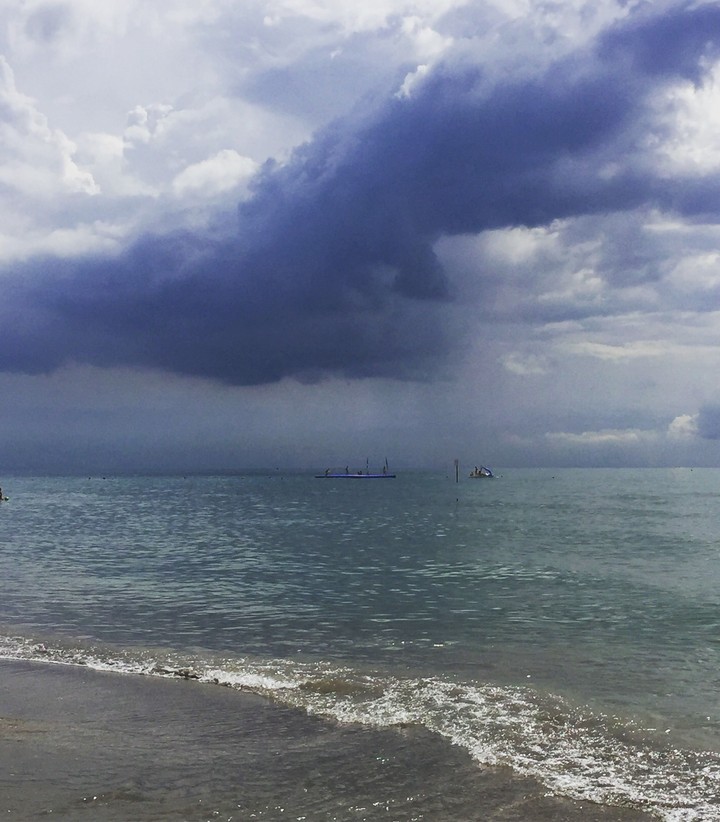 mare