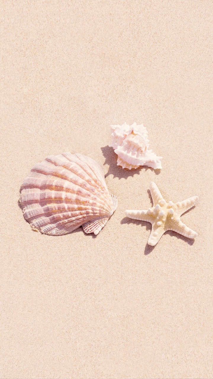 shells