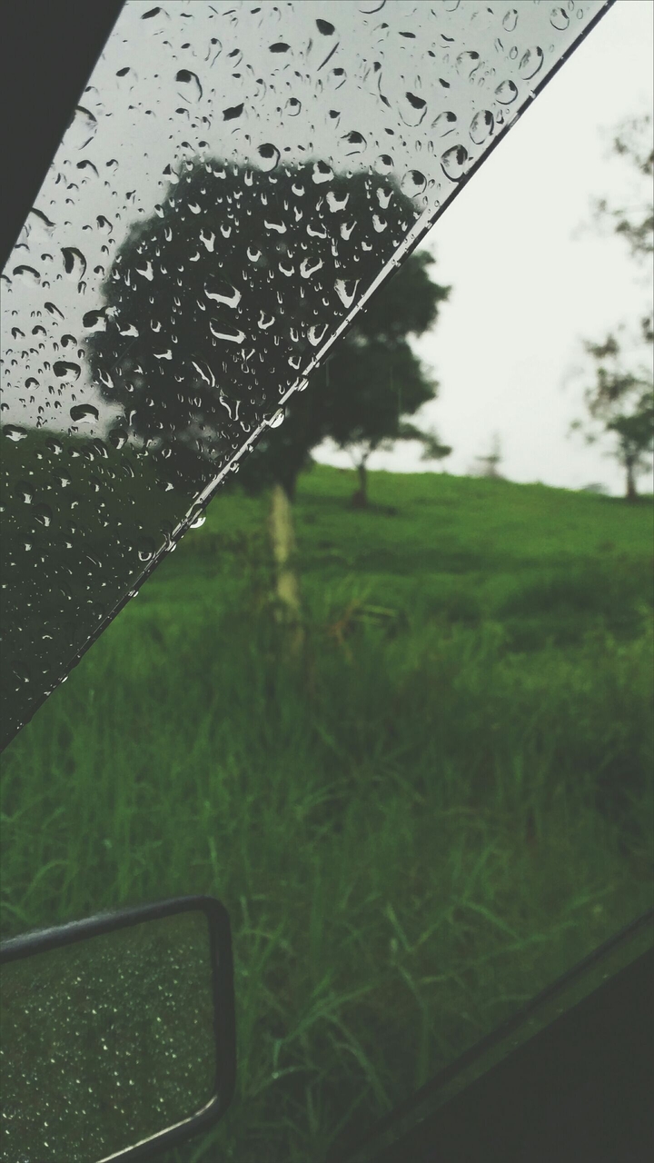 rain