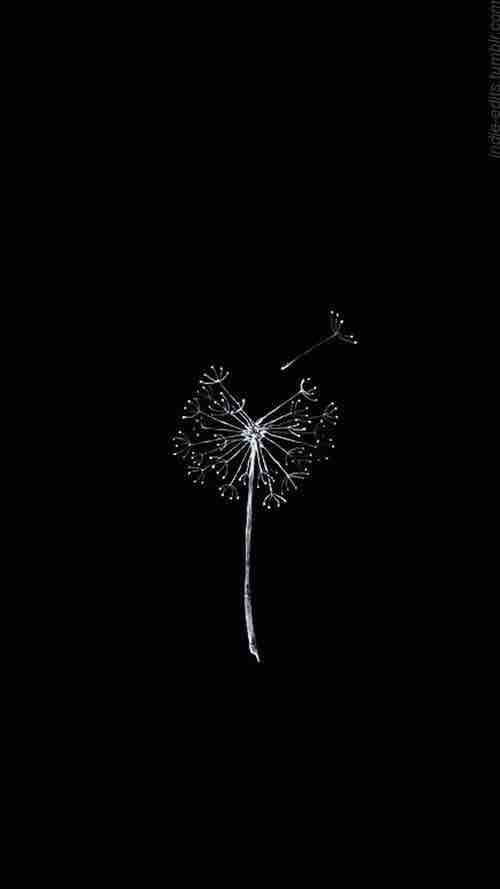 hope