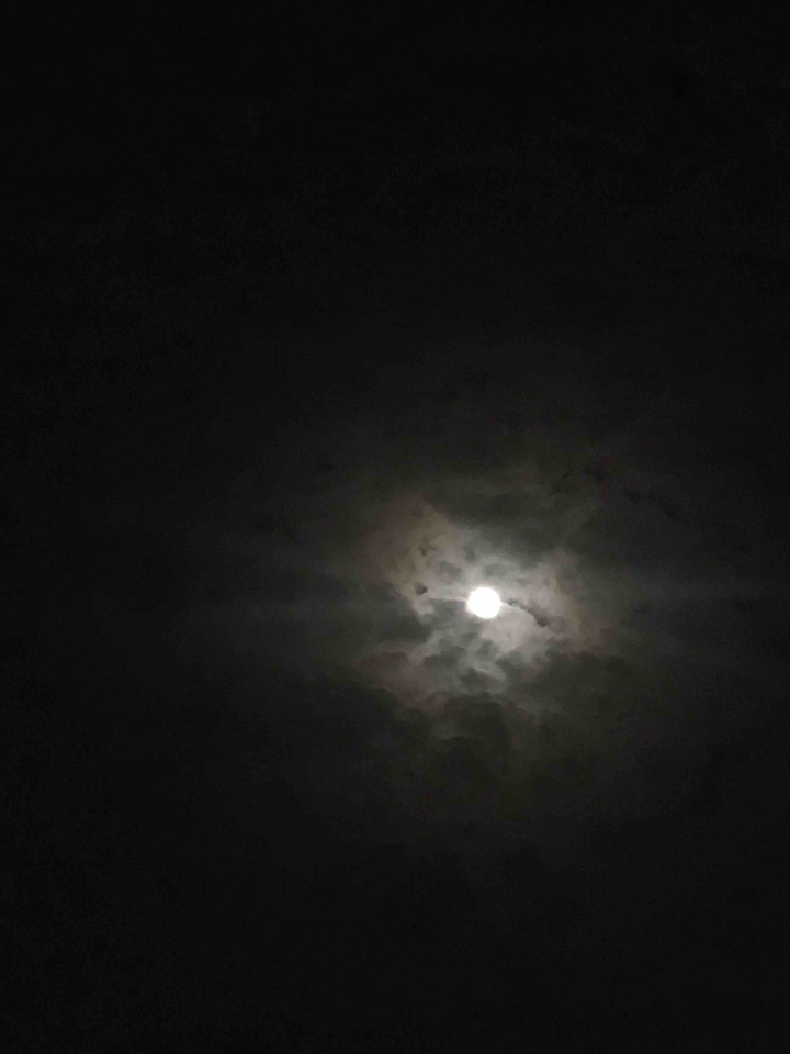 gloomy moon