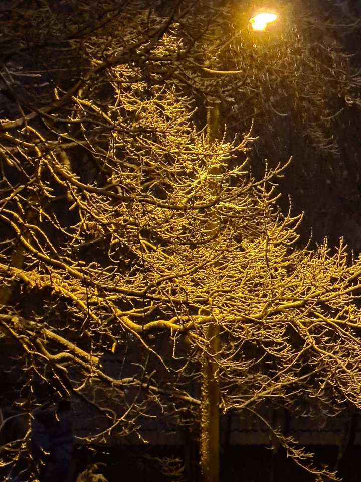 yellow night