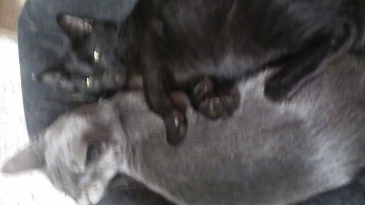 friends